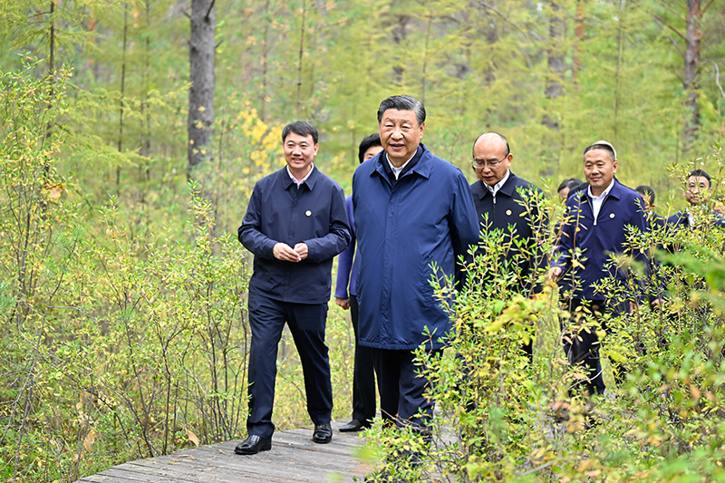 9月6日至8日，中共中央總書記、國家主席、中央軍委主席習近平在黑龍江考察。這是6日下午，習近平在大興安嶺地區漠河市漠河林場自然林區考察